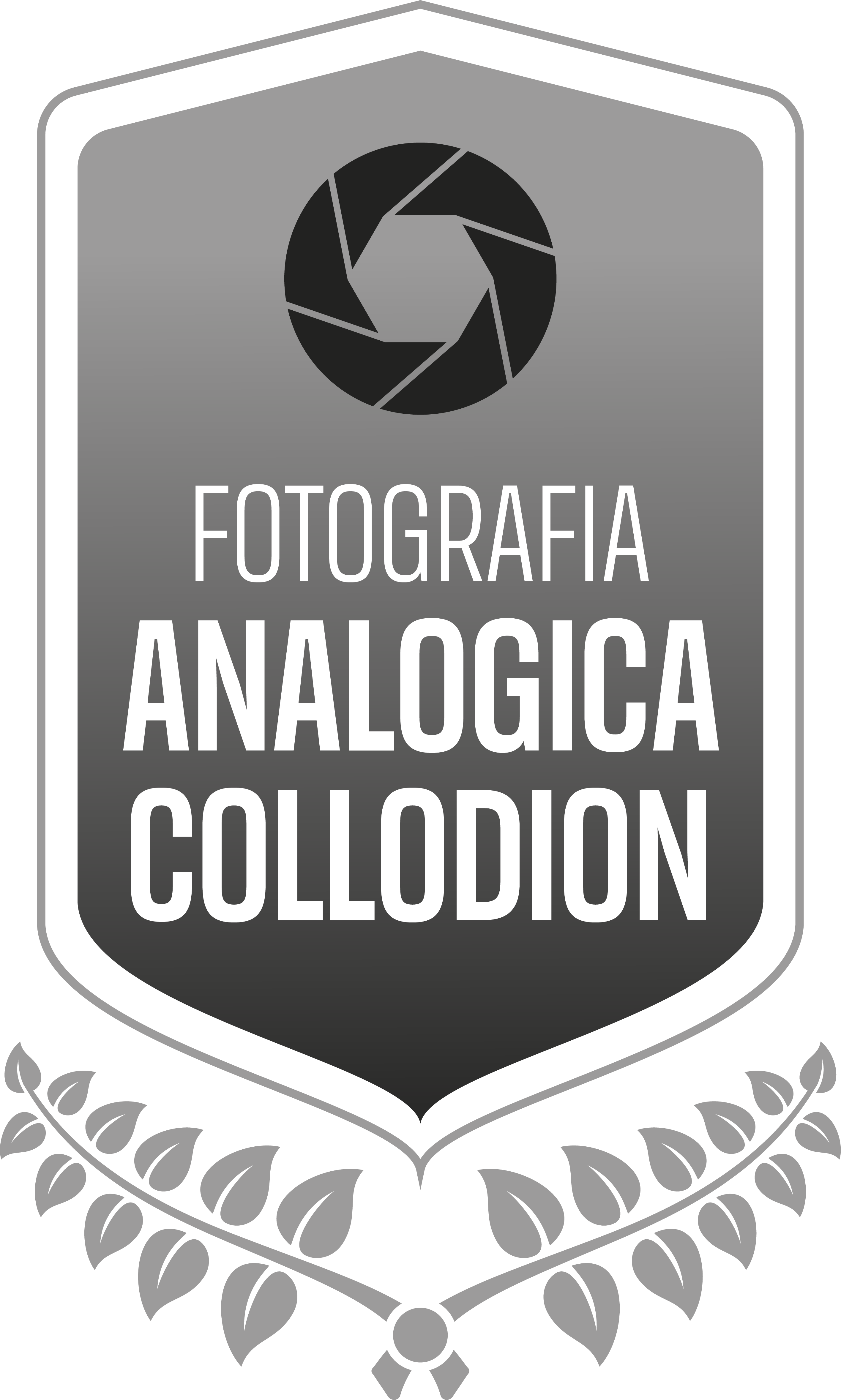 Analogica Collodion logo