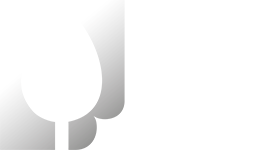 ECHI di CARTA 